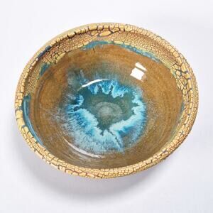 Cathy Veblen Studio Pottery Bowl Anthro Corrales New Mexico 2007 Desert Reptile